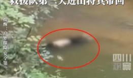 爆料大学生溺水身亡视频,大学生溺水身亡，校园安全警钟长鸣