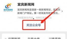 宜宾市新闻如何爆料,聚焦民生热点，共筑和谐家园