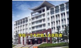 江苏师大爆料视频,揭秘校园内幕，真相令人震惊！