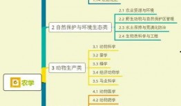 南京寺庙爆料视频大全集,视频大全集深度解析
