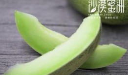 吃网红甜甜蜜瓜,甜蜜滋味，瓜界新宠