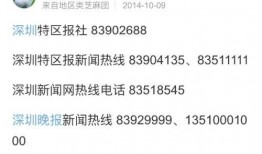 岑溪新闻爆料热线官网网址,一键掌握本地资讯，共建和谐家园”