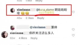 网红吃瓜事件记录最新,揭秘网络舆论背后的真相与争议