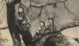 四个女兵电影在线观看,四部女兵电影在线观看指南