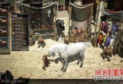 马黑爆料最新视频,事件真相与幕后黑手浮出水面
