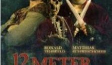 波罗的海海盗在线观看,在线重温海盗传奇，揭秘海上冒险之旅