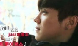 归国四子采访爆料视频完整版,幕后故事与心路历程全解析