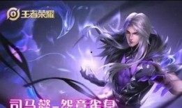 司马新皮肤爆料视频,独特设计背后的故事与亮点