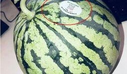 常德网红吃瓜,揭秘当地美食背后的故事