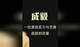 成毅人品爆料视频,视频爆料揭示明星的另一面
