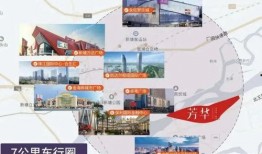 东莞小姑子爆料视频曝光,揭秘家庭矛盾背后的真相