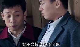 鸡毛飞上天全集手机在线观看,重温经典，感受时代变迁的传奇故事