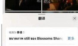 外网爆料魏继英视频,揭秘背后惊人真相