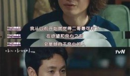 善意的出轨在线观看,揭秘善意的出轨背后的情感纠葛