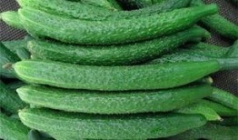 黄瓜农药爆料视频播放大全,黄瓜农药爆料视频全集深度解析